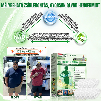 ✨Magyarországi hivatalos áruház 🇭🇺 | Kkio®Moringa·Berberine × NAD+ 10 az 1-ben nano mikrotűs tapasz – mindennapi használatra, 7 napon belül látható eredményekkel ✅ a testsúlyra, a bőrre, a cukorbetegségre és az ízületek egészségére 🗽