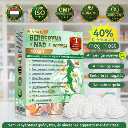 🔥🔥🩺BSWELL® Nano mikrotűs karcsúsító tapasz (Naponta csak egyszer, 28 nap alatt látható változások ✅ Elhízás, szív- és érrendszeri egészség, cukorbetegség, alvási apnoe, bélrendszeri egészség, ízületi problémák és még sok más támogatására)