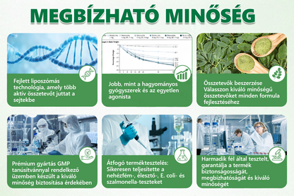 ✨Magyarországi hivatalos áruház 🇭🇺 | Kkio®Moringa·Berberine × NAD+ 10 az 1-ben nano mikrotűs tapasz – mindennapi használatra, 7 napon belül látható eredményekkel ✅ a testsúlyra, a bőrre, a cukorbetegségre és az ízületek egészségére 🗽